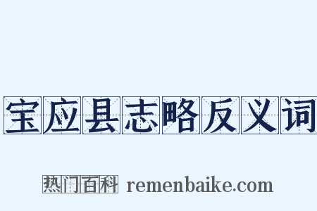 宝应县志略反义词是什么意思的图片